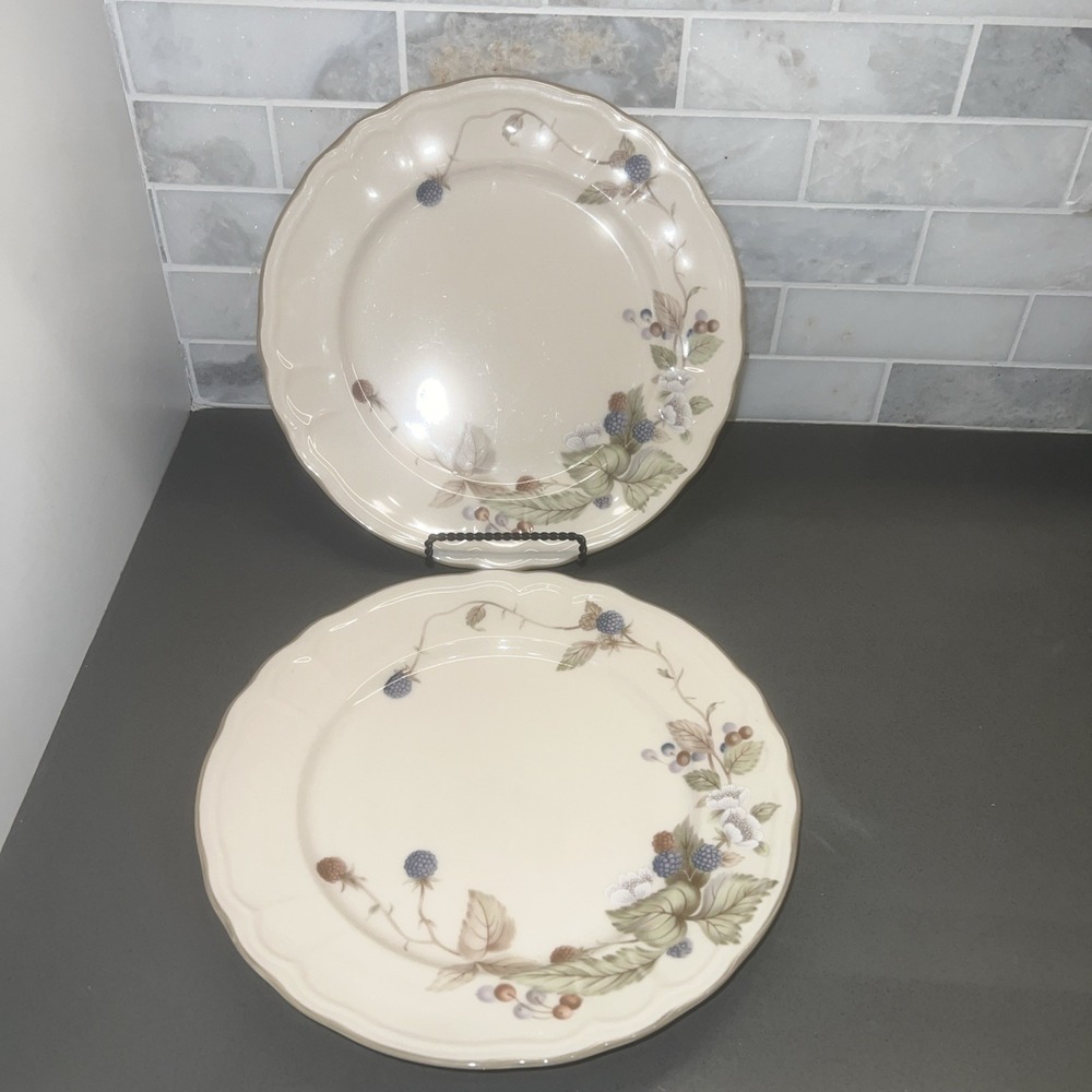 2 Epoch Summer Hill China, Dinner Plates, Blackberry 10 3/8" Noritake